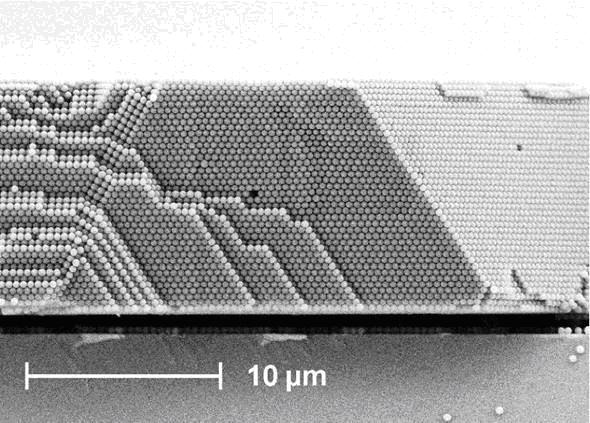 AFM